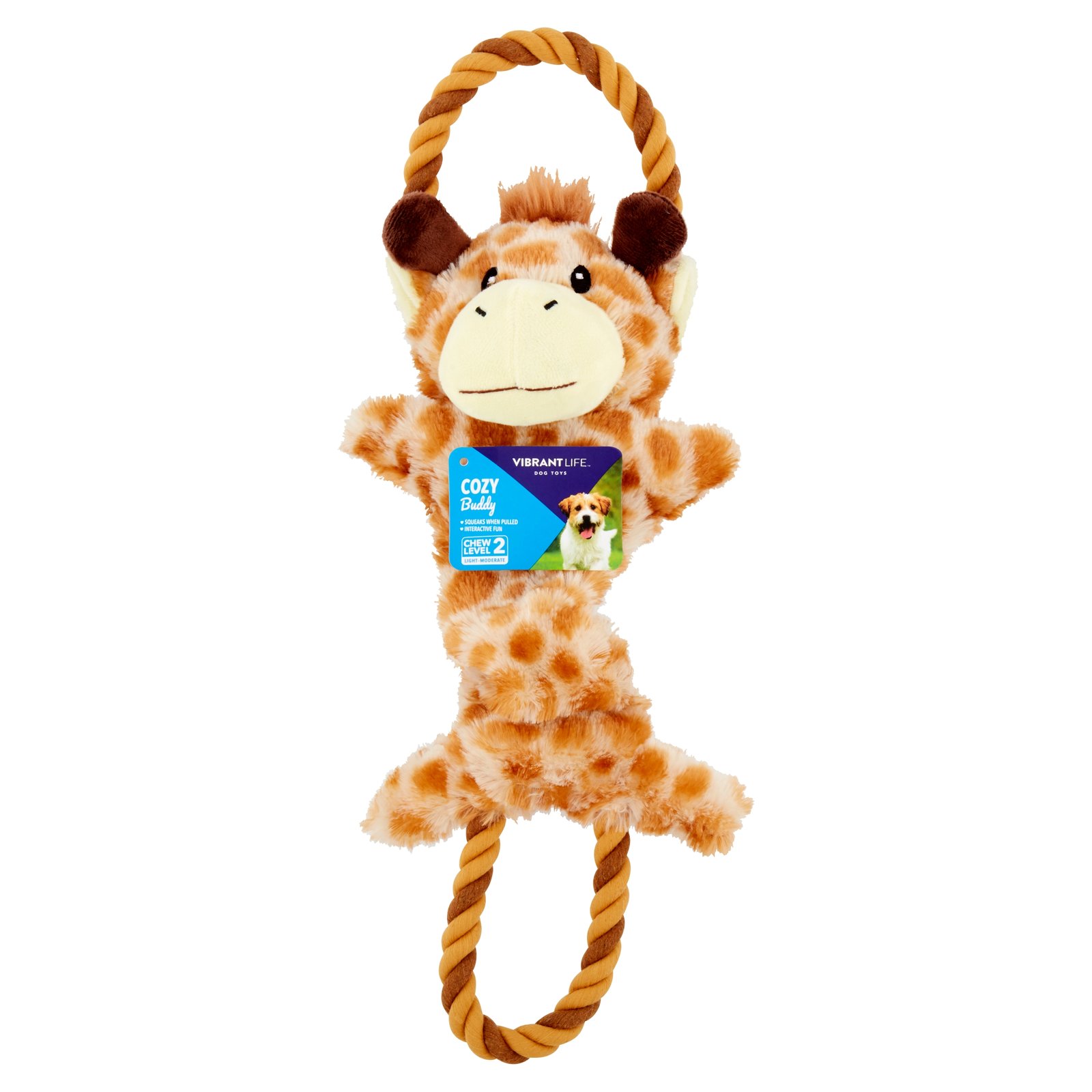 Vibrant Life Cozy Buddy with Rope Dog Toy, Characters